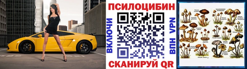 Галлюциногенные грибы Magic Shrooms  Купить где  Нелидово 